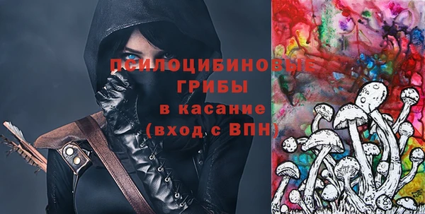 амф Семилуки