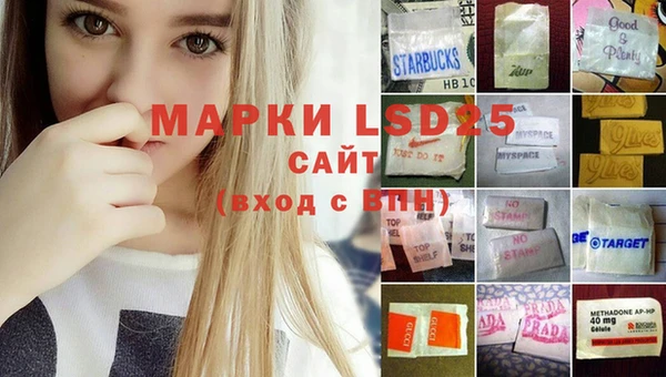 шишки Баксан
