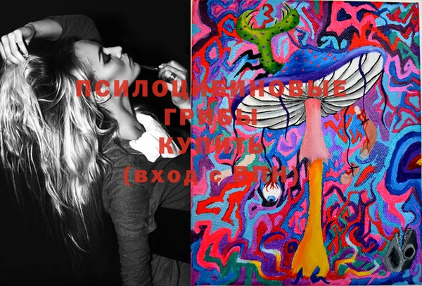 шишки Баксан