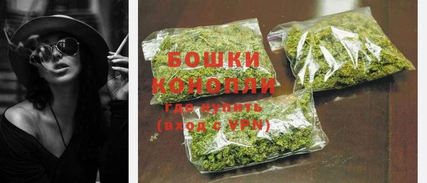 шишки Баксан