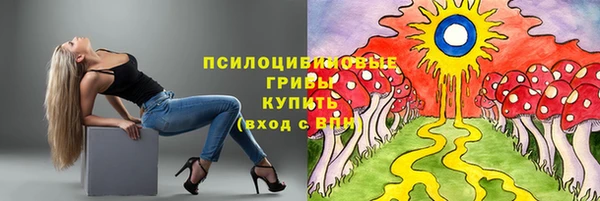 хмурый Балабаново