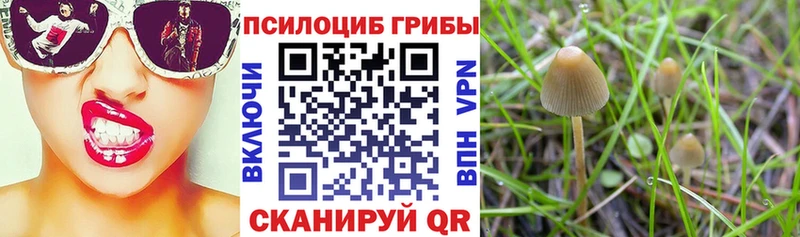 Псилоцибиновые грибы мухоморы  закладки  Пестово 